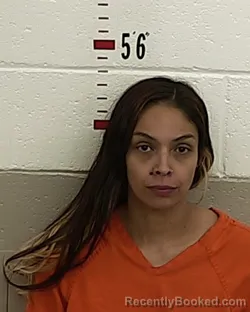 Mugshot of LISA M PINO booked in San Miguel County, New Mexico on April 19, 2026