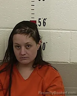 Mugshot of TRACY HERRERA booked in San Miguel County, New Mexico on April 19, 2026