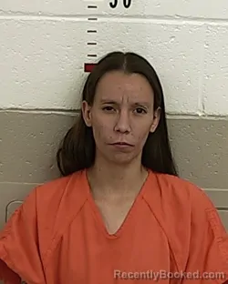 Mugshot of SOLEDAD F FLORES booked in San Miguel County, New Mexico on April 20, 2026