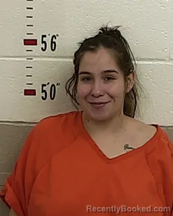 Mugshot of ALYCIA E LUCERO booked in San Miguel County, New Mexico on April 22, 2026