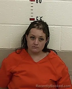 Mugshot of TRACY HERRERA booked in San Miguel County, New Mexico on April 24, 2026