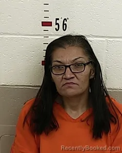 Mugshot of JUANITA T ENCINIAS booked in San Miguel County, New Mexico on May 5, 2026
