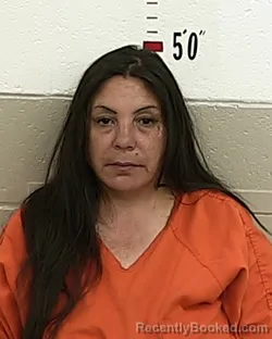 Mugshot of PANCHITA MAES booked in San Miguel County, New Mexico on May 12, 2026