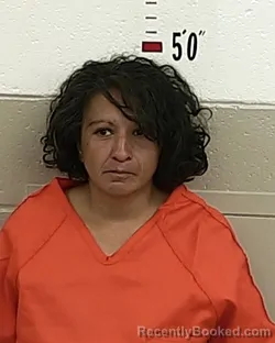 Mugshot of SONIA ULIBARRI booked in San Miguel County, New Mexico on May 13, 2026