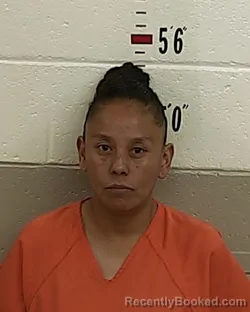 Mugshot of PRISCILLA YAZZIE booked in San Miguel County, New Mexico on May 13, 2026