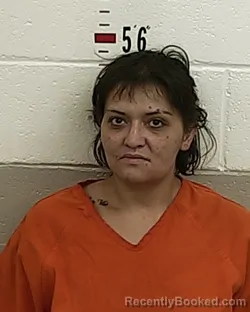Mugshot of CANDACE K ORTEGA booked in San Miguel County, New Mexico on May 14, 2026