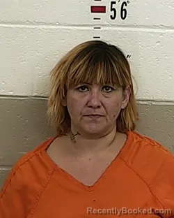 Mugshot of JULIETTE ULIBARRI booked in San Miguel County, New Mexico on May 17, 2026