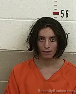 Mugshot of RAUL GONZALES booked in San Miguel County, New Mexico on May 17, 2026