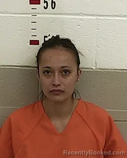 Mugshot of TIFFANY A SANCHEZ booked in San Miguel County, New Mexico on May 18, 2026