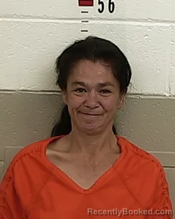 Mugshot of JERROLDINE MONTANO booked in San Miguel County, New Mexico on May 19, 2026