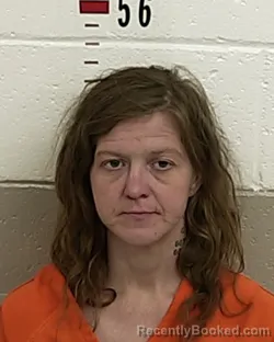 Mugshot of ASHLEY LIBBY booked in San Miguel County, New Mexico on May 20, 2026