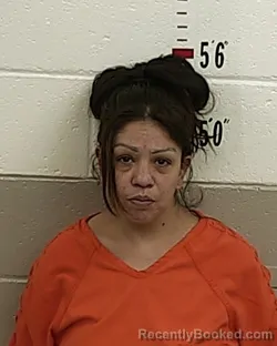 Mugshot of DESIRAE MARTINEZ booked in San Miguel County, New Mexico on May 25, 2026