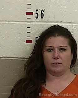 Mugshot of JASMINE M RODRIGUEZ booked in San Miguel County, New Mexico on May 29, 2026