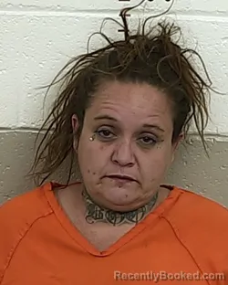 Mugshot of ROXANNE MARTINEZ booked in San Miguel County, New Mexico on May 30, 2026