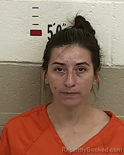 Mugshot of NICOLE RAINS booked in San Miguel County, New Mexico on June 1, 2026