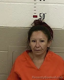 Mugshot of JANNETT TAFOYA booked in San Miguel County, New Mexico on June 8, 2026