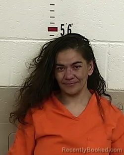 Mugshot of MELISSA VIRGINIA MARTINEZ booked in San Miguel County, New Mexico on June 8, 2026