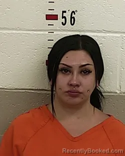 Mugshot of SAMANTHA GALLEGOS booked in San Miguel County, New Mexico on June 9, 2026