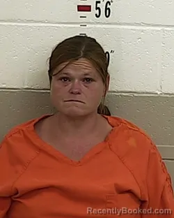 Mugshot of SARAH SUZAN BARKDOLL booked in San Miguel County, New Mexico on June 14, 2026