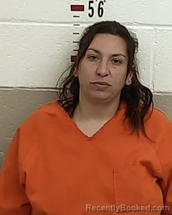Mugshot of DANIELLE ABEYTA booked in San Miguel County, New Mexico on June 14, 2026