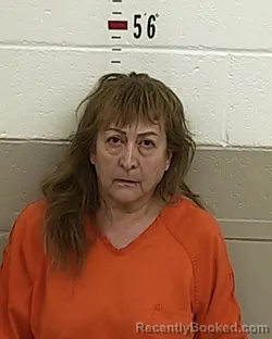 Mugshot of ERNISTINE LOUISE SAIZ booked in San Miguel County, New Mexico on June 22, 2026