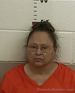Mugshot of RITA SANCHEZ booked in San Miguel County, New Mexico on June 23, 2026