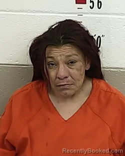 Mugshot of JESSICA LOPEZ booked in San Miguel County, New Mexico on June 24, 2026