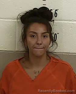 Mugshot of FAITH FERNANDEZ booked in San Miguel County, New Mexico on June 24, 2026