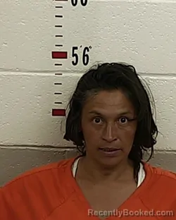 Mugshot of JENNIFER J CRUZ booked in San Miguel County, New Mexico on June 24, 2026