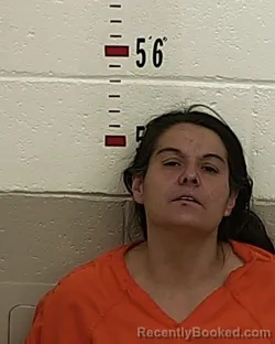 Mugshot of JESSICA TRUJILLO booked in San Miguel County, New Mexico on July 2, 2026
