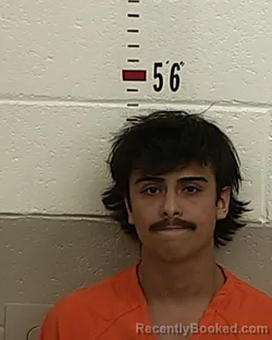 Mugshot of ROMAN BOJORQUEZ booked in San Miguel County, New Mexico on July 2, 2026