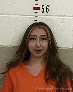 Mugshot of VICTORIA LARA booked in San Miguel County, New Mexico on July 3, 2026