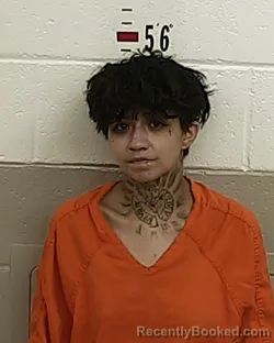 Mugshot of DORIS JOEL GONZALES booked in San Miguel County, New Mexico on July 5, 2026