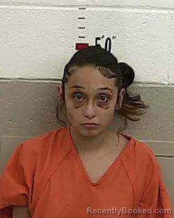 Mugshot of LILIANA CAZARES booked in San Miguel County, New Mexico on July 9, 2026