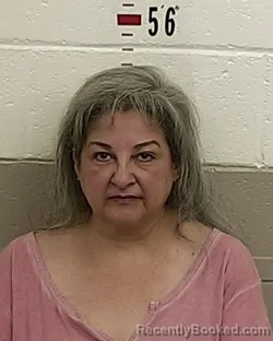 Mugshot of THERESA MALDANADO booked in San Miguel County, New Mexico on July 10, 2026