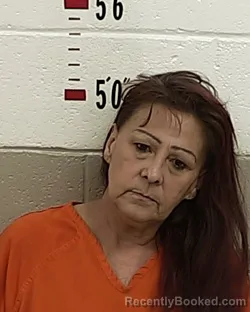 Mugshot of ELIZABETH M MARTIN booked in San Miguel County, New Mexico on July 10, 2026