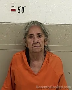 Mugshot of ROSEMARIE RUIZ booked in San Miguel County, New Mexico on July 12, 2026