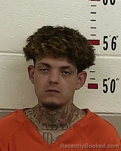 Mugshot of MICHAEL A ROMERO booked in San Miguel County, New Mexico on July 15, 2026