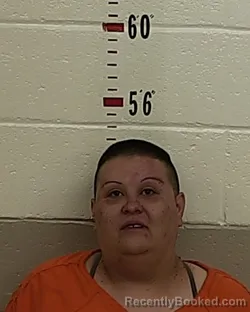 Mugshot of FRANCES MEJILLAS booked in San Miguel County, New Mexico on July 18, 2026