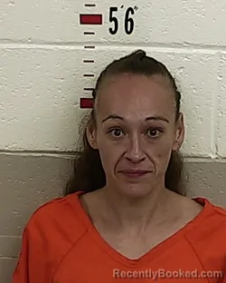 Mugshot of AMANDA A PATRON booked in San Miguel County, New Mexico on July 21, 2026