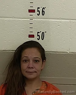 Mugshot of DOLORES SALAZAR booked in San Miguel County, New Mexico on July 22, 2026