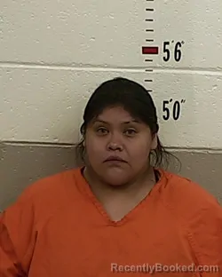 Mugshot of ALICIA SANDOVAL booked in San Miguel County, New Mexico on July 23, 2026