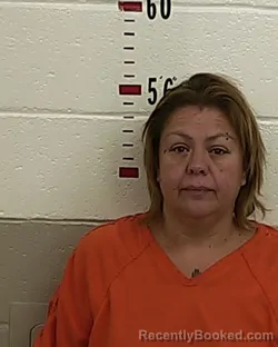 Mugshot of ANNETTE HERRERA booked in San Miguel County, New Mexico on July 25, 2026