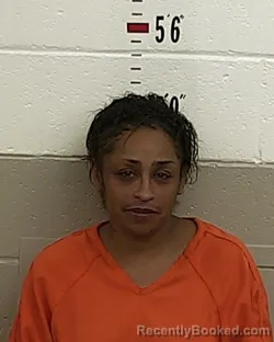 Mugshot of STEPHANIE M BLAKE-ROMERO booked in San Miguel County, New Mexico on July 26, 2026