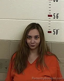 Mugshot of ASHLEY TAPIA booked in San Miguel County, New Mexico on July 28, 2026
