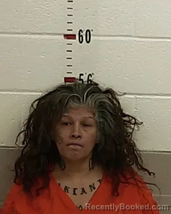 Mugshot of NOELLE ASPEN booked in San Miguel County, New Mexico on July 28, 2026
