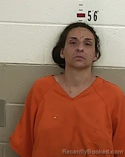 Mugshot of TARA AMBER ROMERO booked in San Miguel County, New Mexico on July 30, 2026