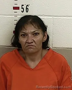 Mugshot of JUANITA T ENCINIAS booked in San Miguel County, New Mexico on August 1, 2026