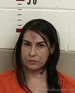 Mugshot of CAPRICE HOWLAND booked in San Miguel County, New Mexico on August 2, 2026