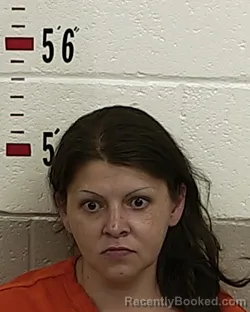 Mugshot of NATASHA MADRID booked in San Miguel County, New Mexico on August 2, 2026